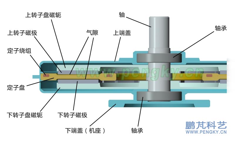 無鐵心盤式發(fā)電機(jī)軸剖視圖 