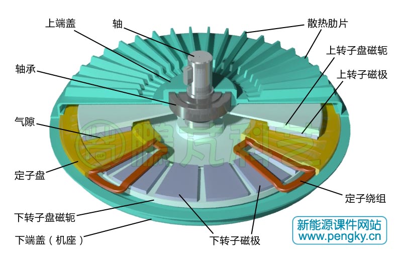 16極無鐵心盤式發(fā)電機(jī)剖視圖