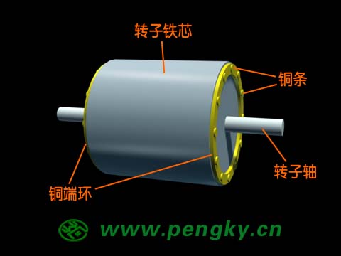 鼠籠轉(zhuǎn)子