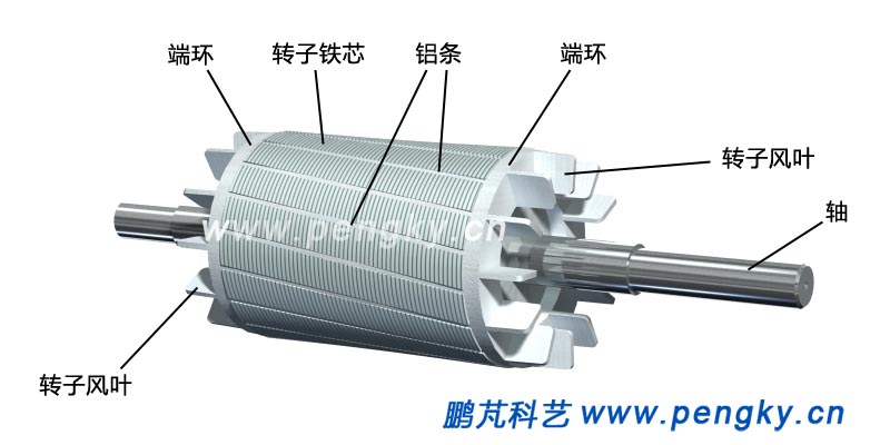 籠型繞組,cage winding