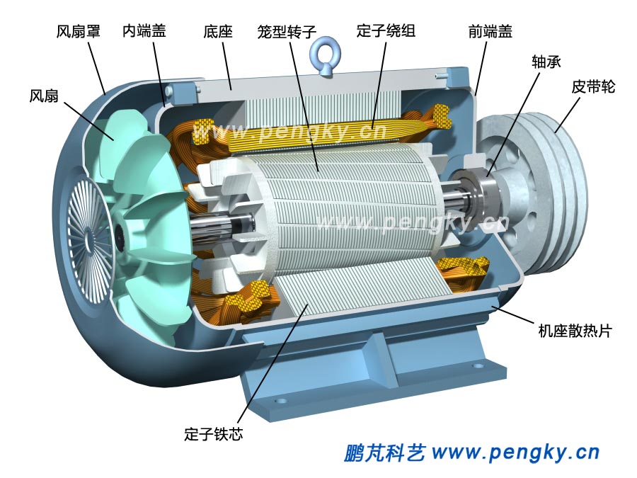 籠型感應(yīng)電動機,squirrel induction motor