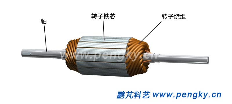 轉(zhuǎn)子鐵心與繞組