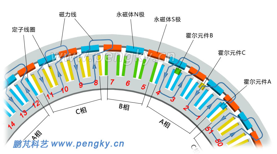 51槽46極分?jǐn)?shù)槽集中繞組永磁電機(jī)局部