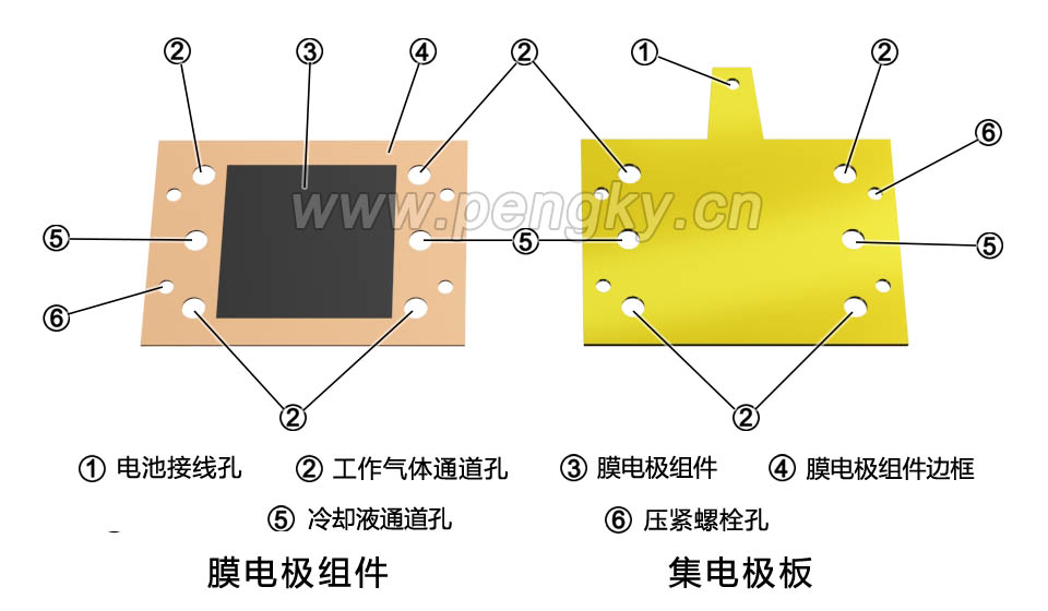 燃料電池的膜電極組件與集電極板