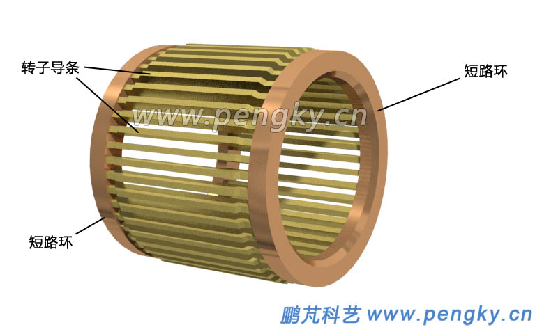 轉(zhuǎn)子鼠籠