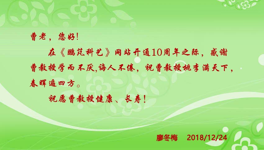 廖冬梅祝賀網(wǎng)站10周年