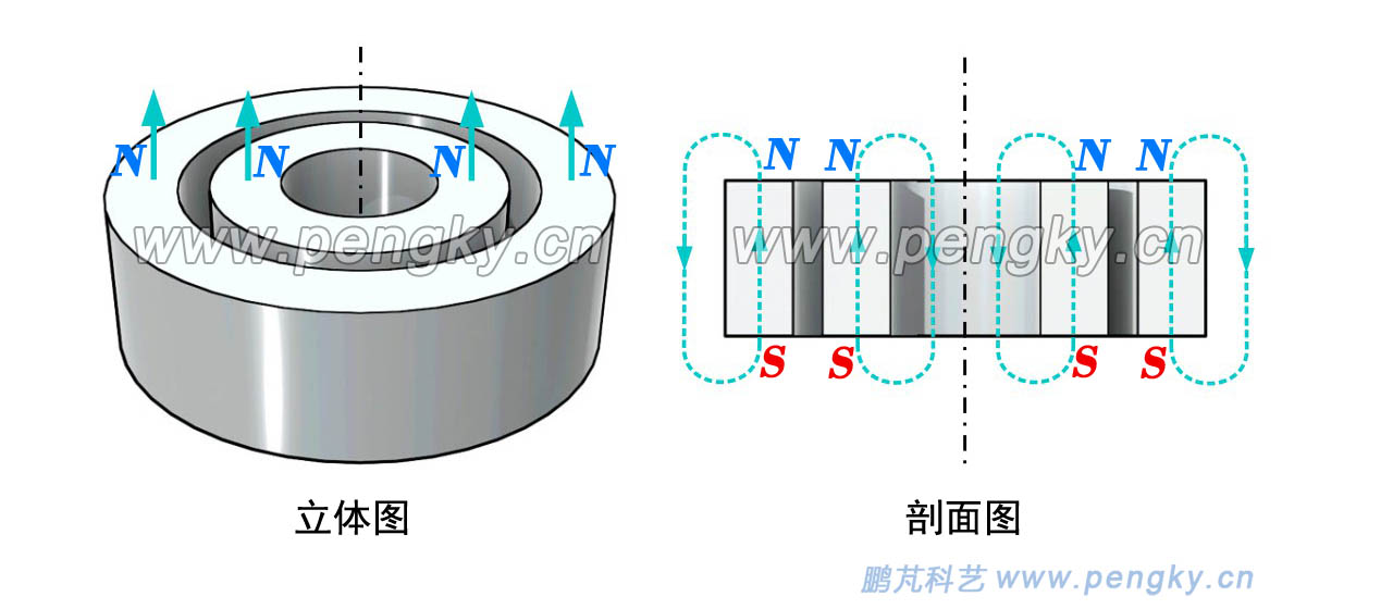 徑向磁力軸承基本結(jié)構(gòu)