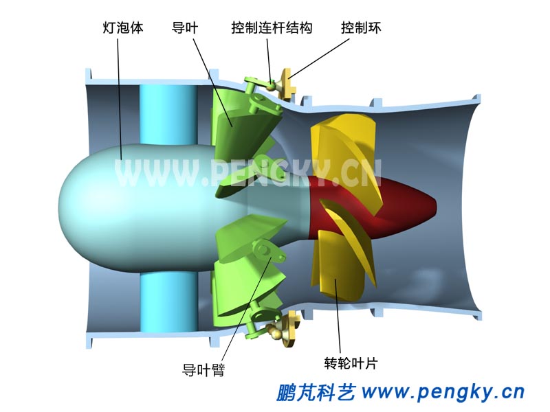 貫流式水輪機(jī)的轉(zhuǎn)輪與導(dǎo)葉