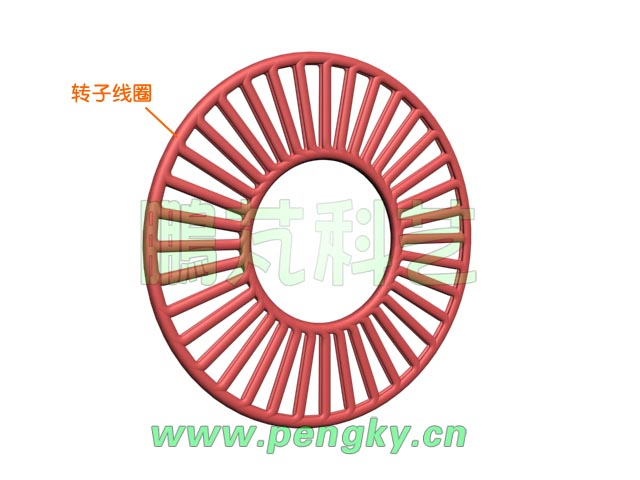 盤狀轉(zhuǎn)子繞組